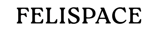 Félispace 
